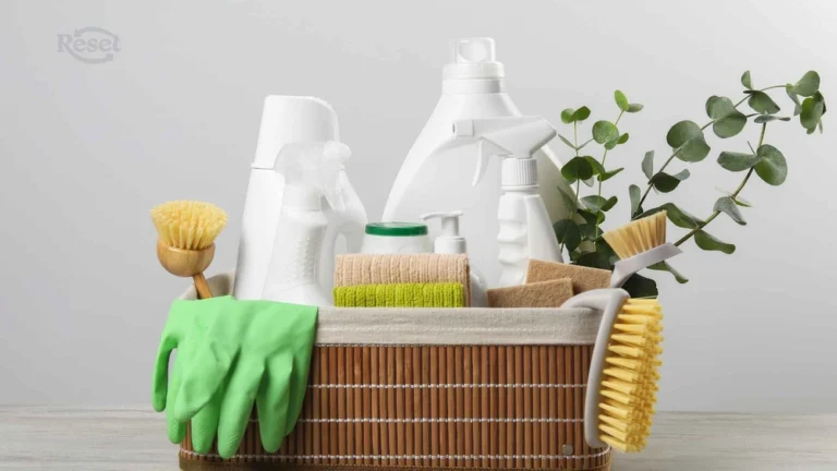 caja de bambu con productos de limpieza sin etiqueta, guantes, cepillos y una rama de eucalipto Qué son los productos de limpieza ecológicos y cómo saber si de verdad lo son reset colombia